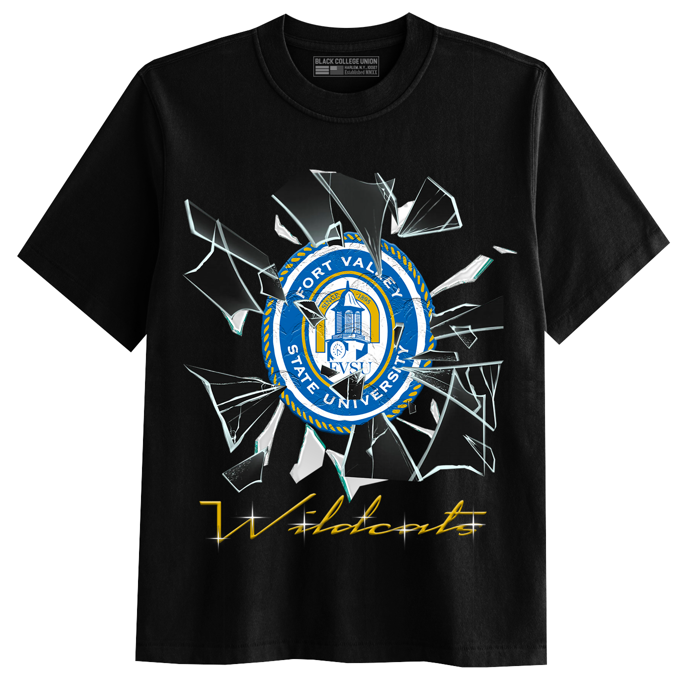 Shattered Glass - Fort Valley [FVSU]