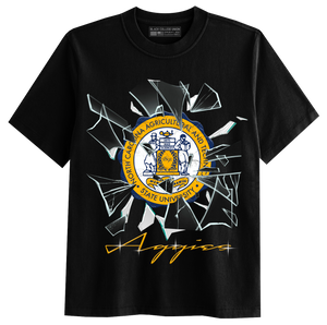 Shattered Glass - North Carolina A&T [NCAT]