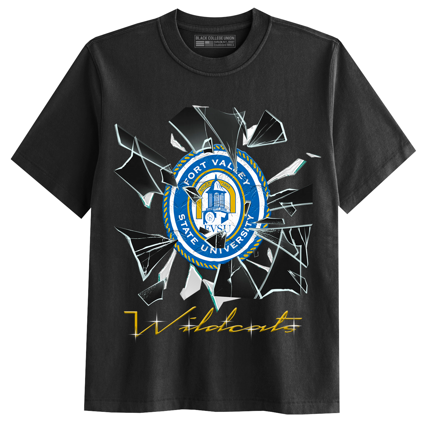 Shattered Glass - Fort Valley [FVSU]