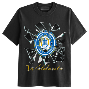 Shattered Glass - Fort Valley [FVSU]
