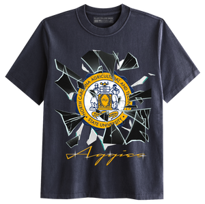 Shattered Glass - North Carolina A&T [NCAT]