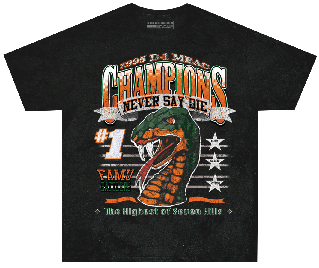 Vintage championship deals shirts
