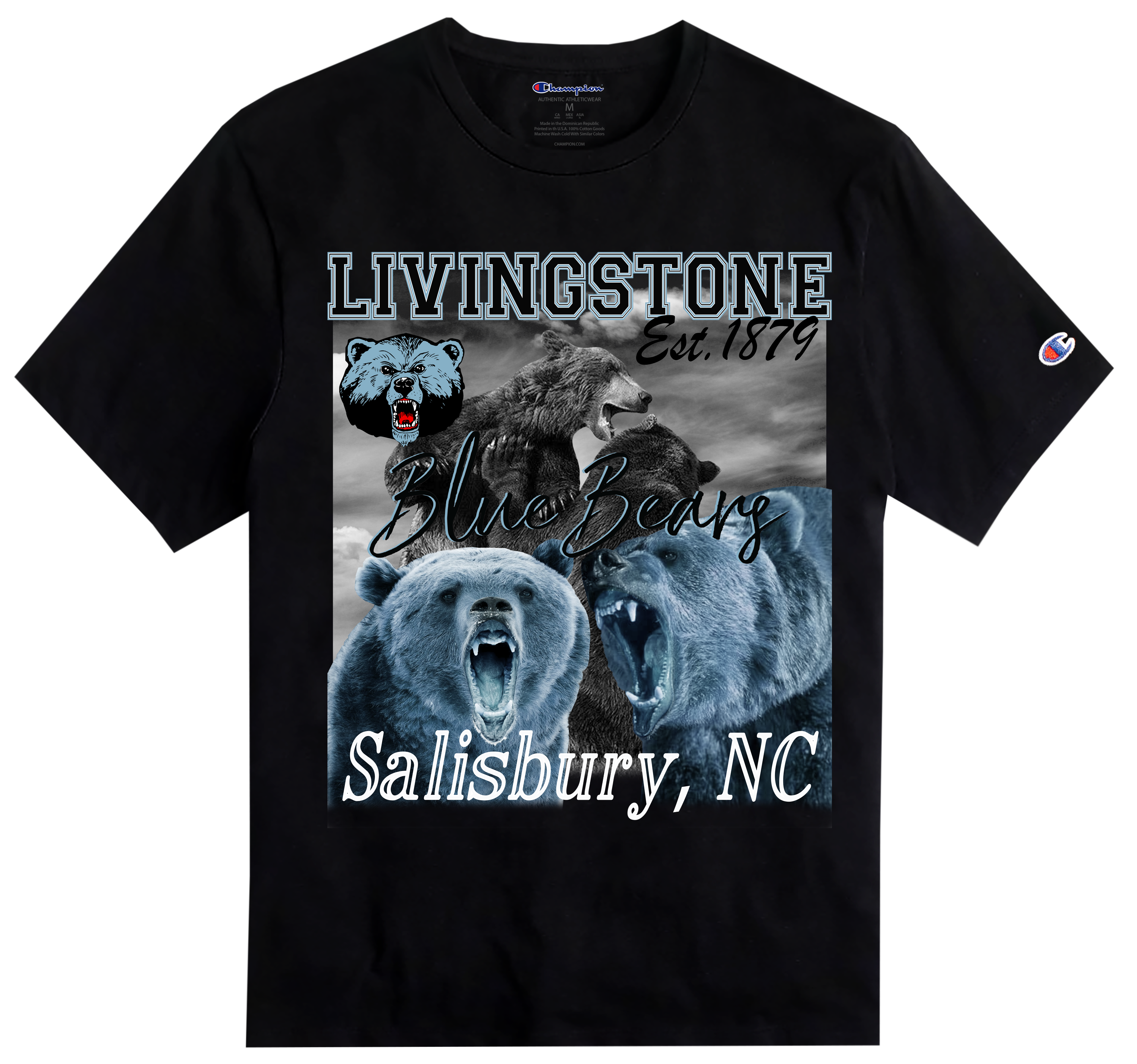 Champion 2024 tee original