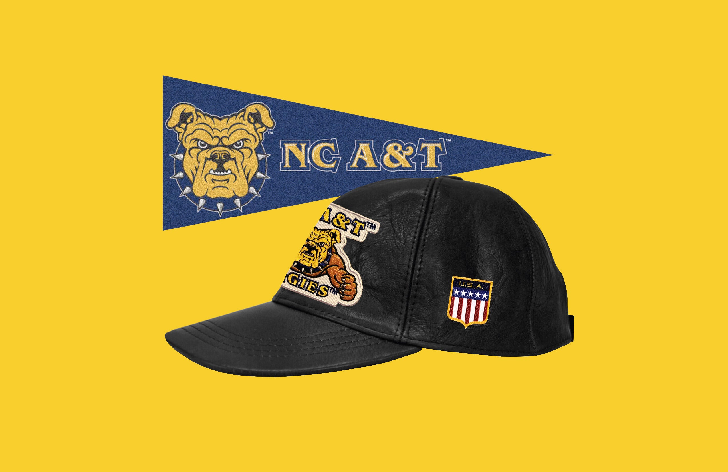 NC A&T Snapback Cap